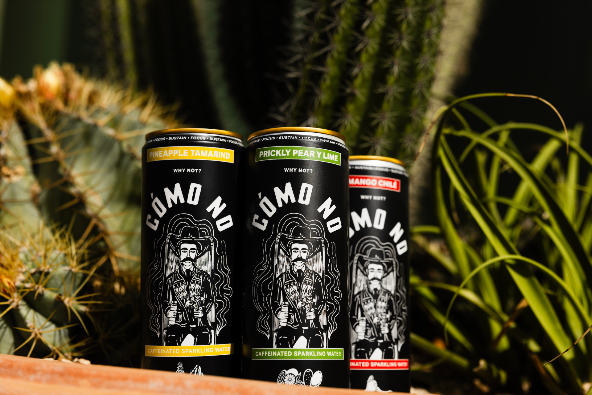 Cómo No trio of cans among cacti